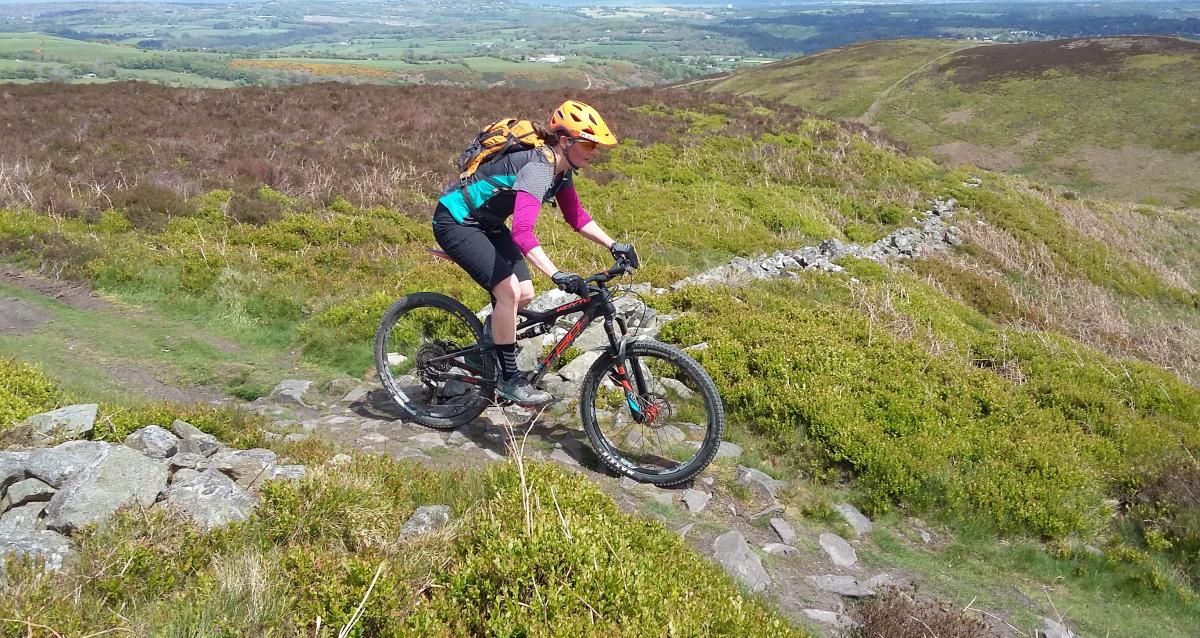 Top chief mtb online